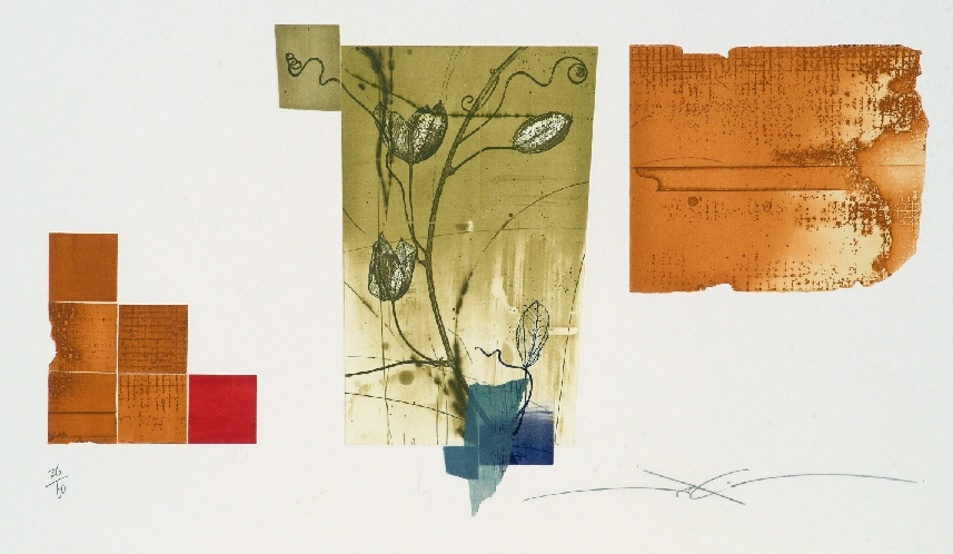 Araki Shinko Vines Composition 1 contemporary Japanese prints